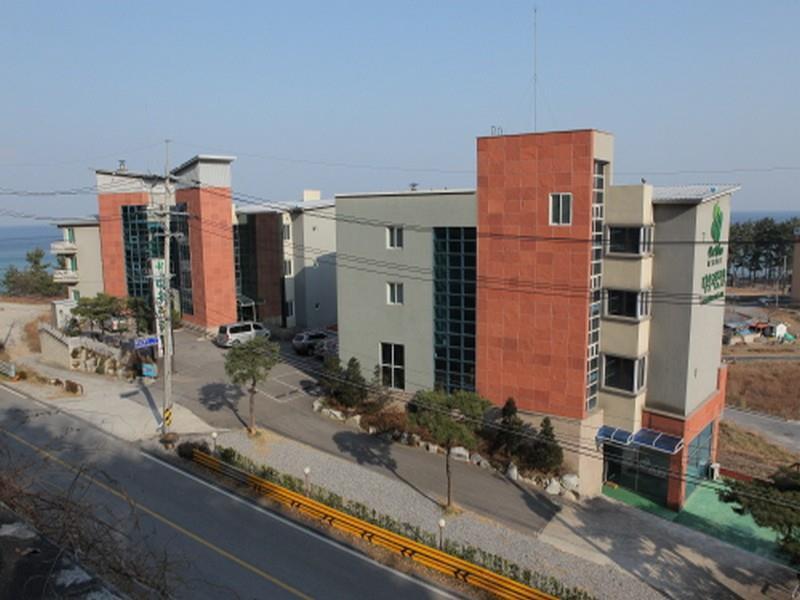 Dawoo Resortel Gangneung Dış mekan fotoğraf